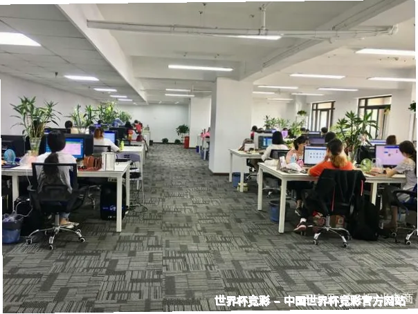 核心团队与专业资质