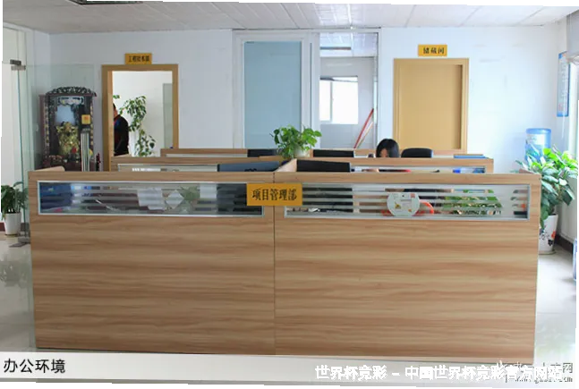 未来愿景与发展方向